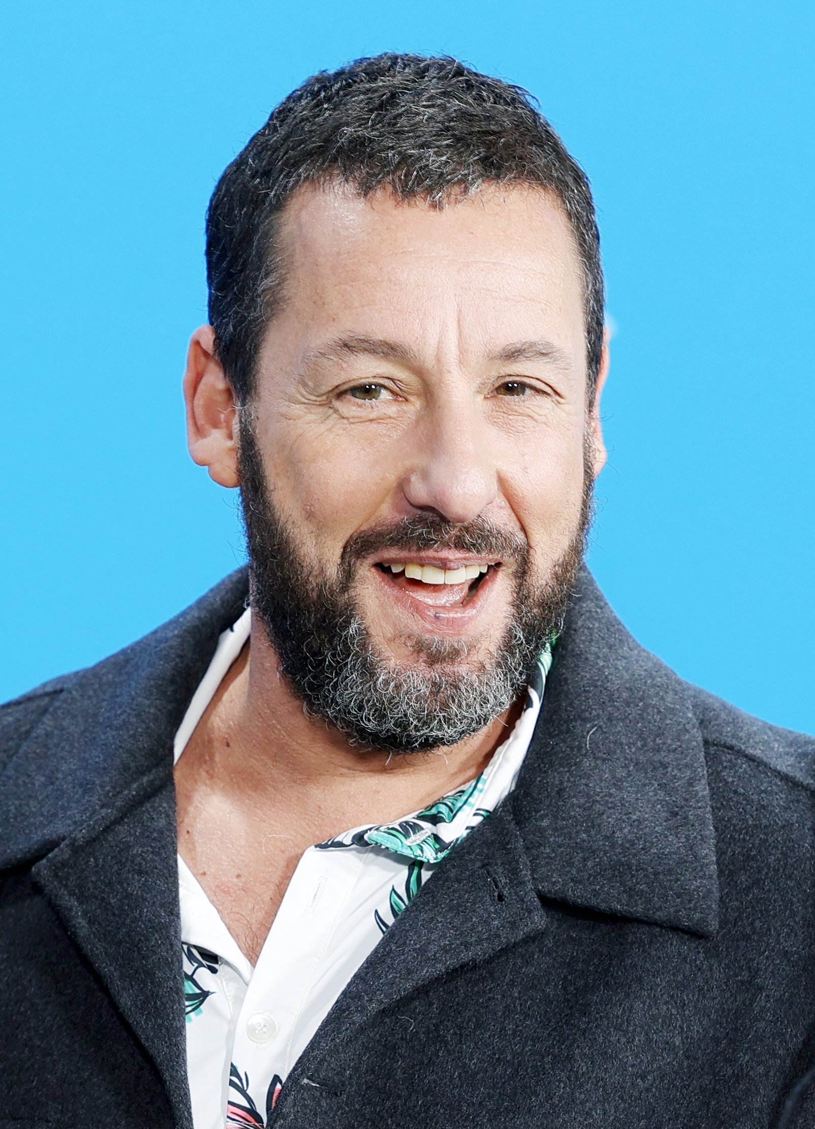 Adam Sandler Wikipedia