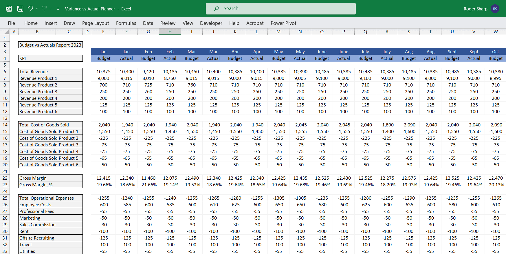 Budget Vs Actual Forecast 5 Years Template EFinancialModels