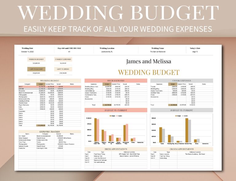 Wedding Planner Budget Spreadsheet Wedding Timeline Budget Google Sheets Template Wedding Planner Spreadsheet Wedding Budget Tracker Etsy