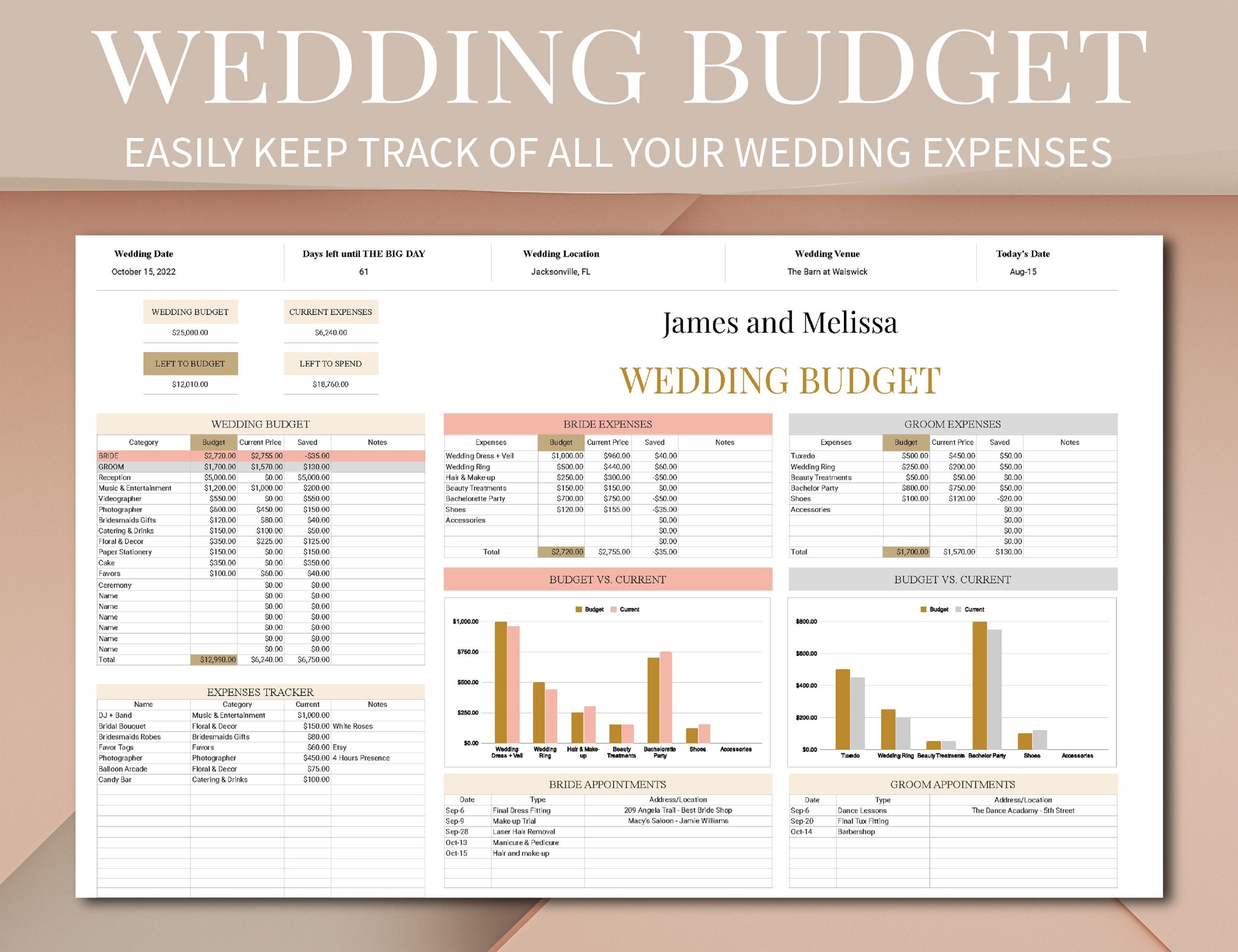 Wedding Planner Budget Spreadsheet Wedding Timeline Budget Google Sheets Template Wedding Planner Spreadsheet Wedding Budget Tracker Etsy