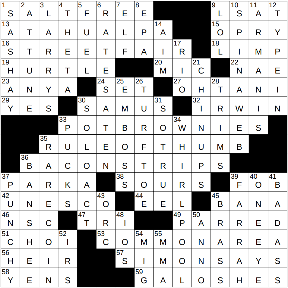 what salsa literally means nyt crossword