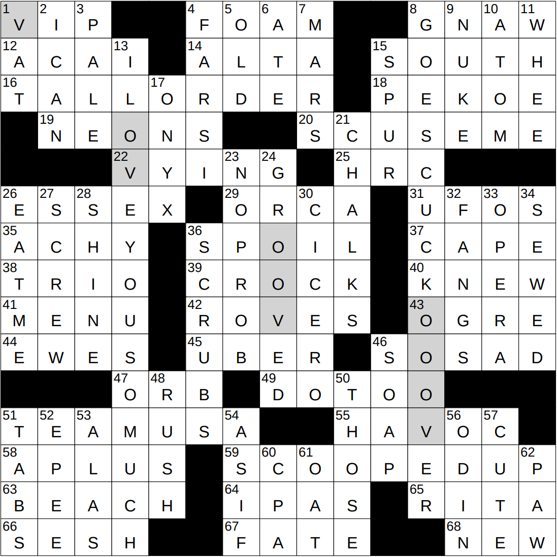 black cuckoo crossword clue