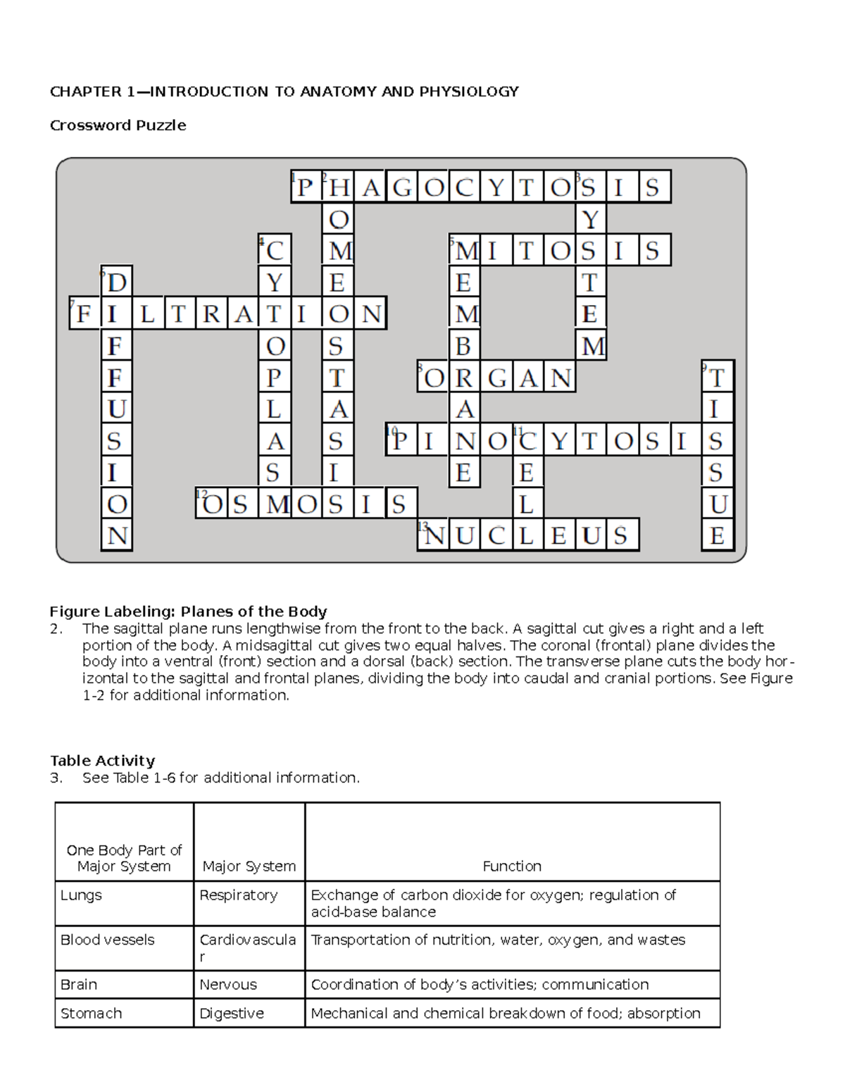AKSG Study Guide Answers CHAPTER 1 INTRODUCTION TO ANATOMY AND PHYSIOLOGY Crossword Puzzle Studocu