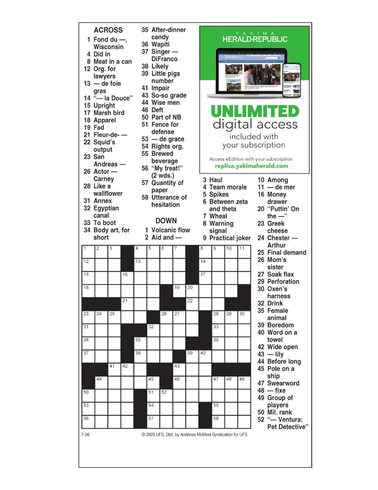 marsh bird crossword