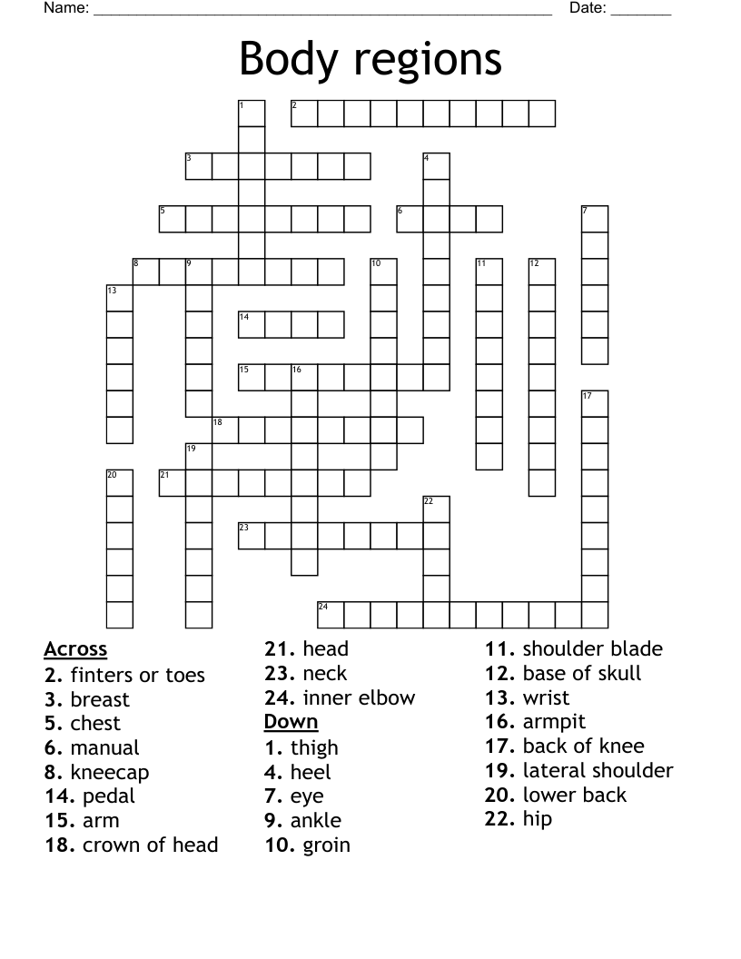 Body Regions Crossword WordMint Body Regions Crossword WordMint