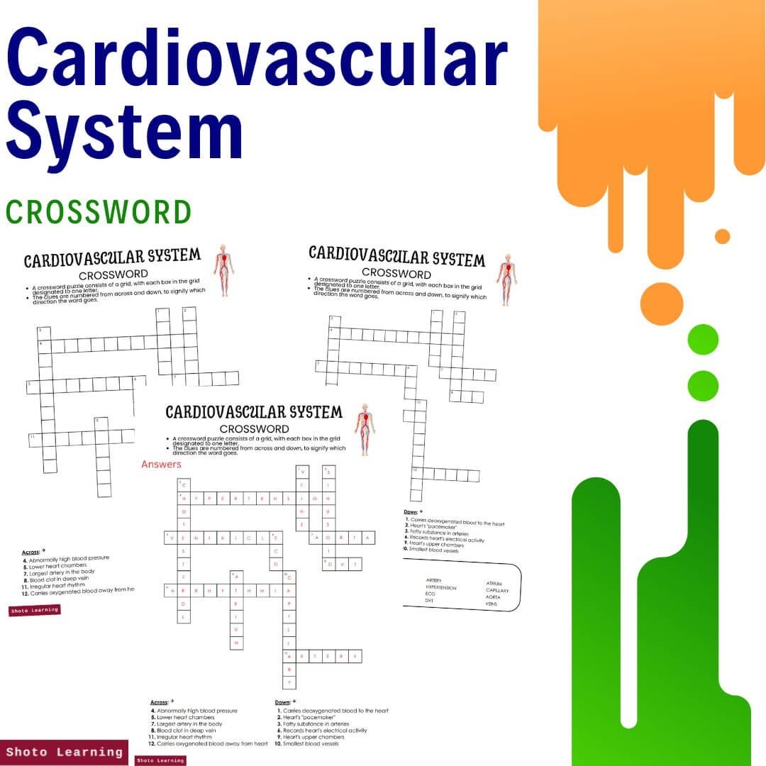 Cardiovascular System Word Search Fun Circulatory Challenge