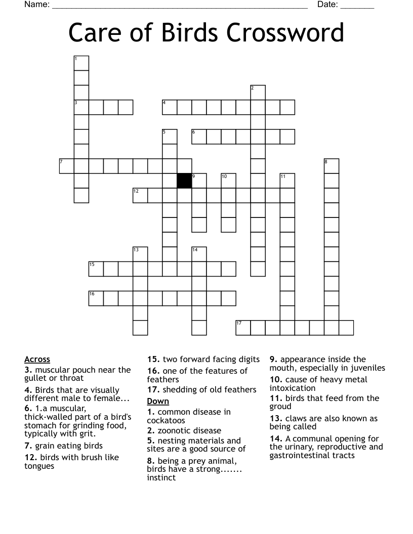 Care Of Birds Crossword WordMint