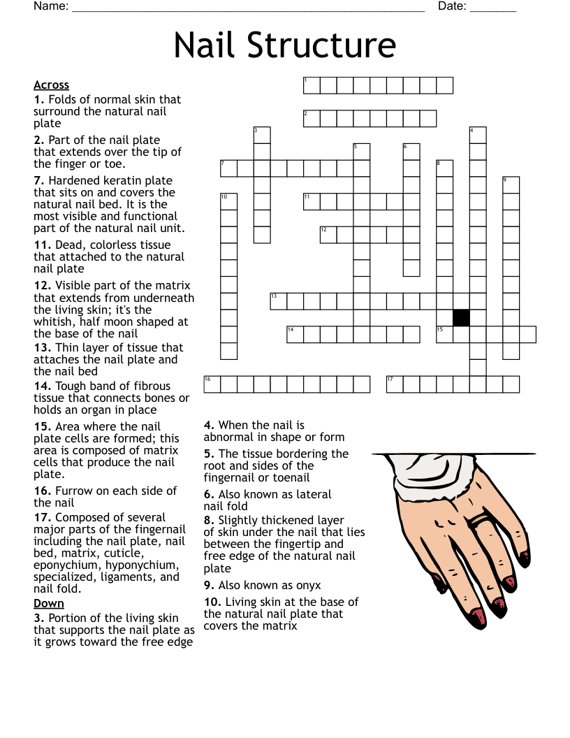 Chapter 26 Pedicures Crossword WordMint