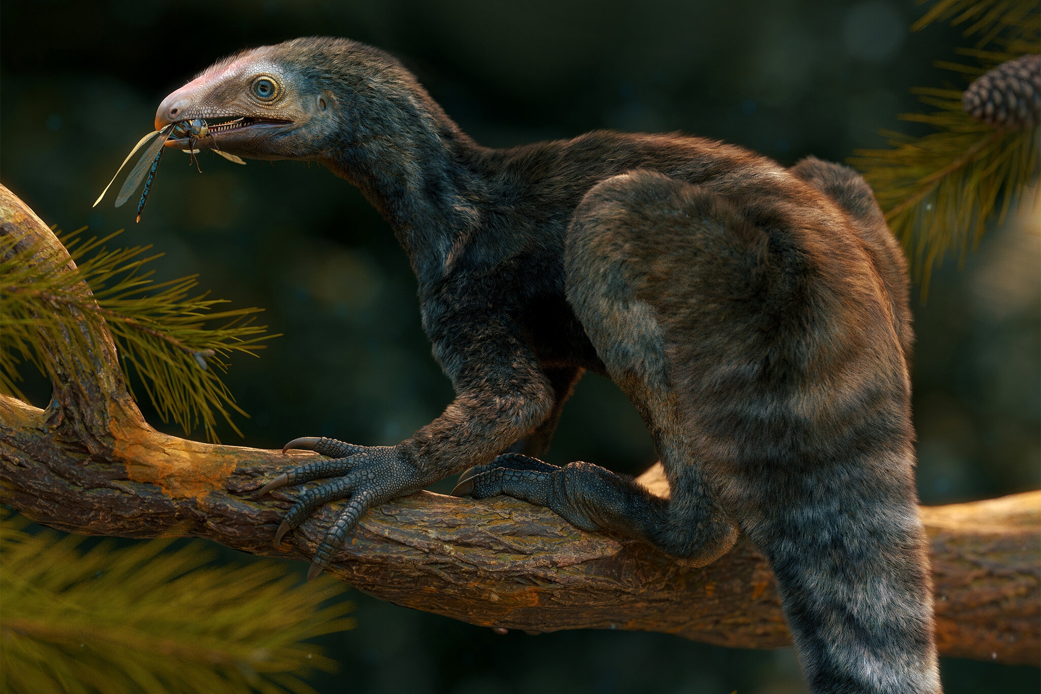 extinct bird crossword clue