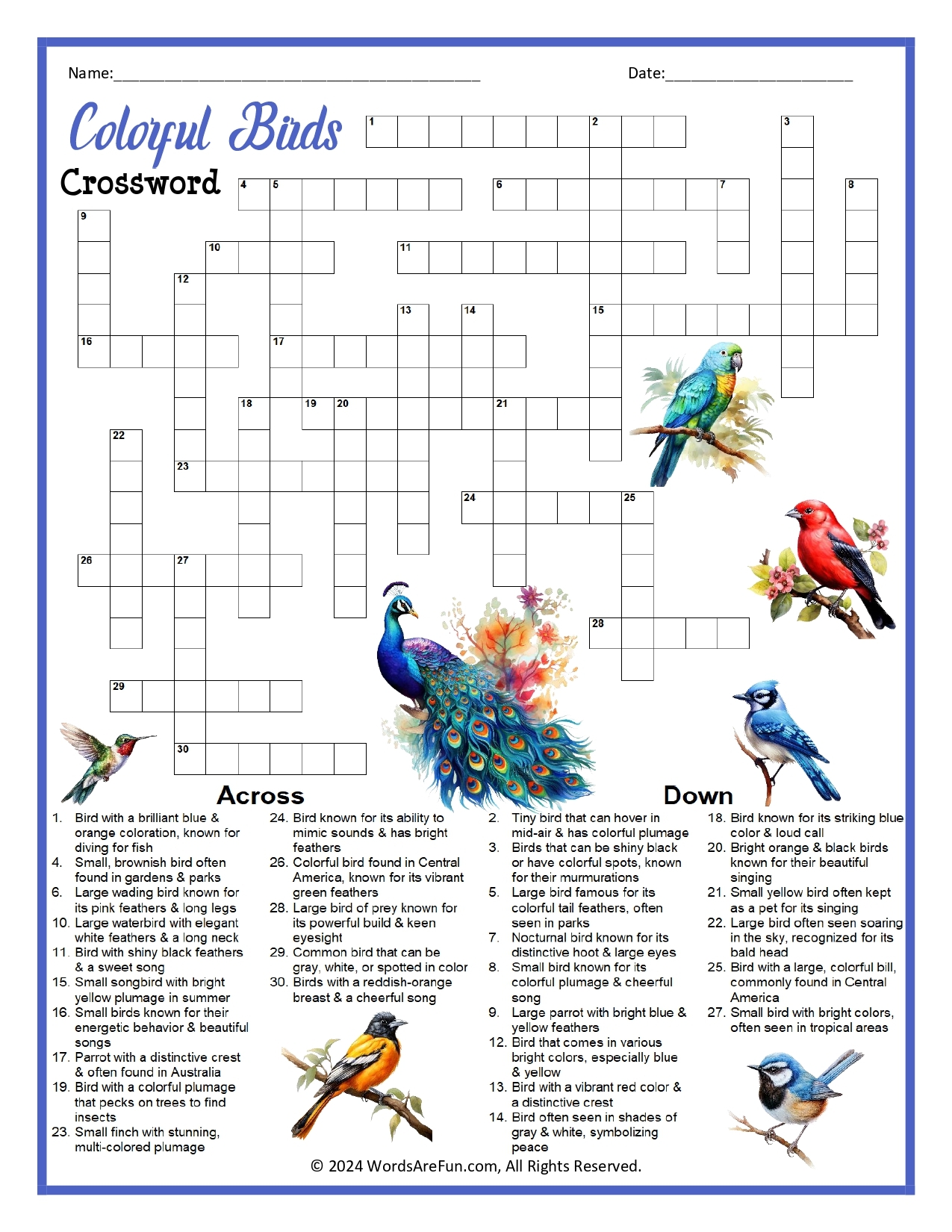 bird related crossword clue