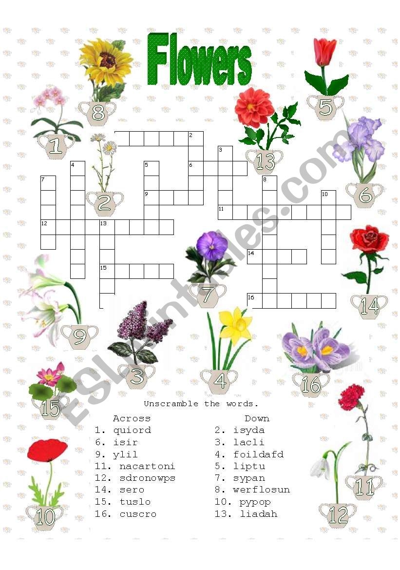 flower part crossword clue