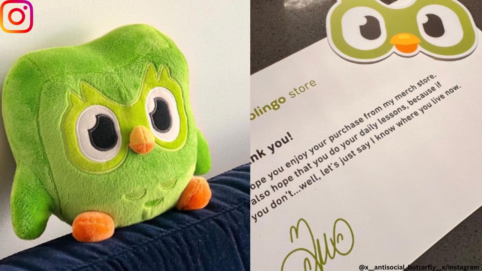 Duolingo Surprises Dedicated User With Gift Leaves Netizens Amazed And Scared With Note Trending News The Indian Express
