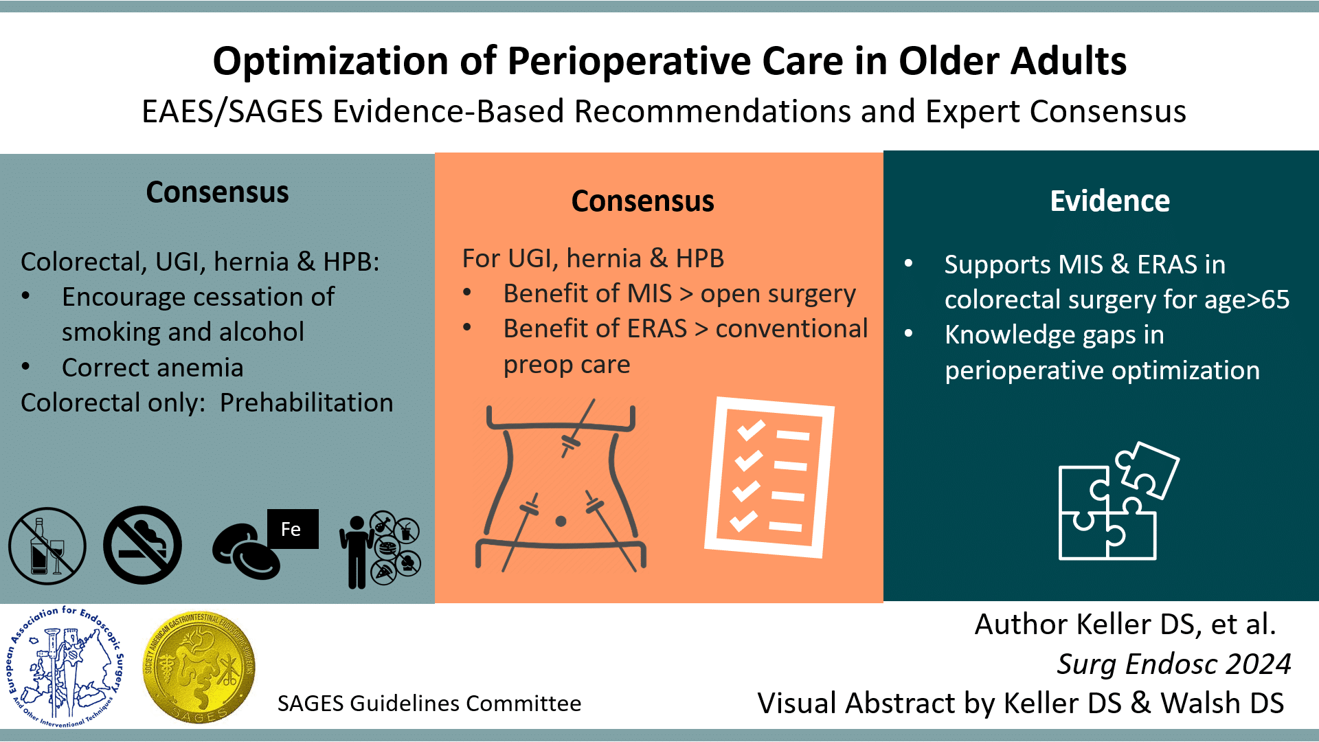 EAES SAGES Evidence Based Recommendations And Expert Consensus On Optimization Of Perioperative Care In Older Adults A SAGES Publication EAES SAGES Evidence Based Recommendations And Expert Consensus On Optimization Of Perioperative Care In Older Adults A SAGES Publication