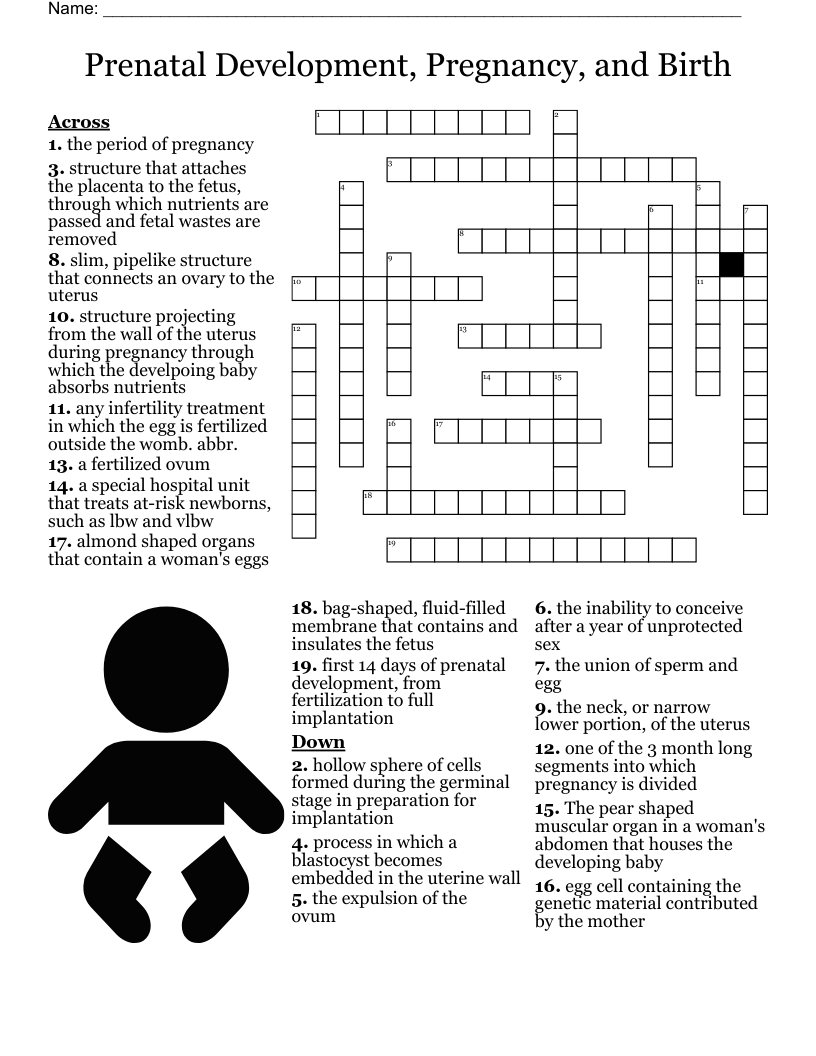 Eggs Crossword WordMint