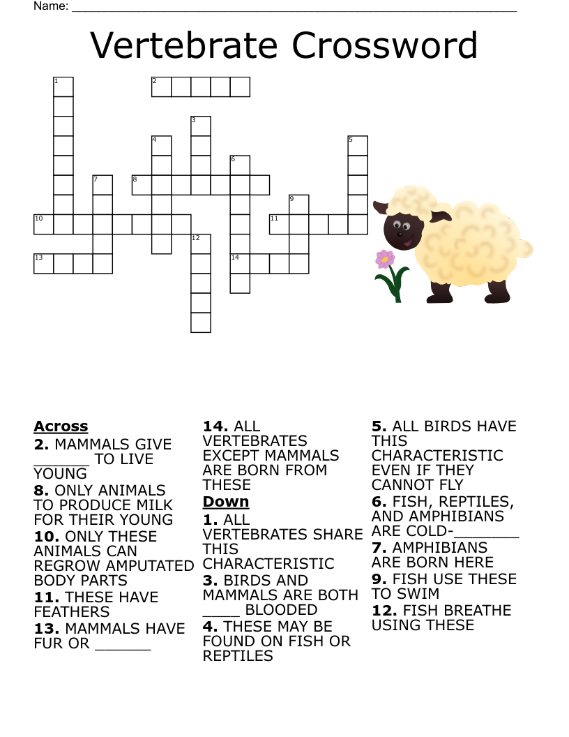 young eel crossword clue