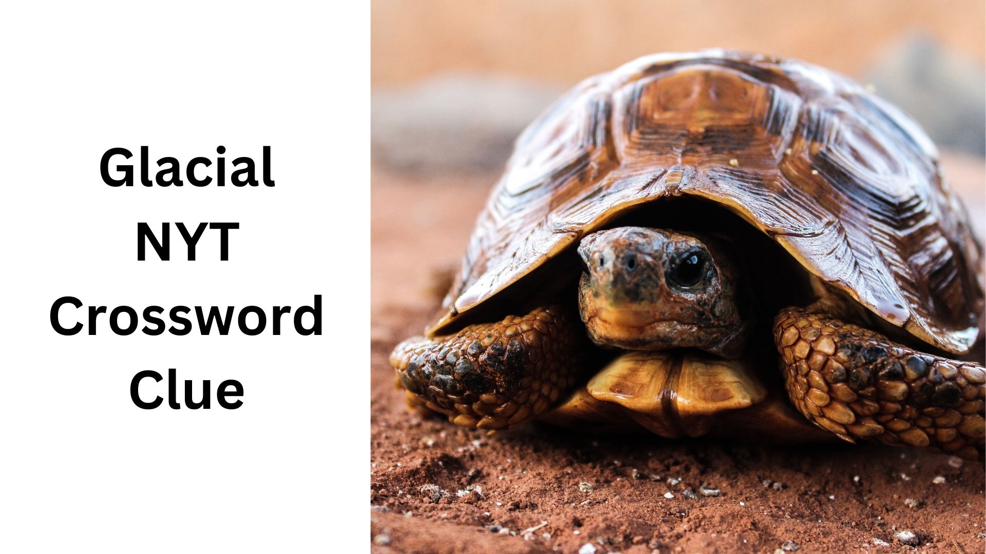 Glacial NYT Crossword Clue September 22 2024