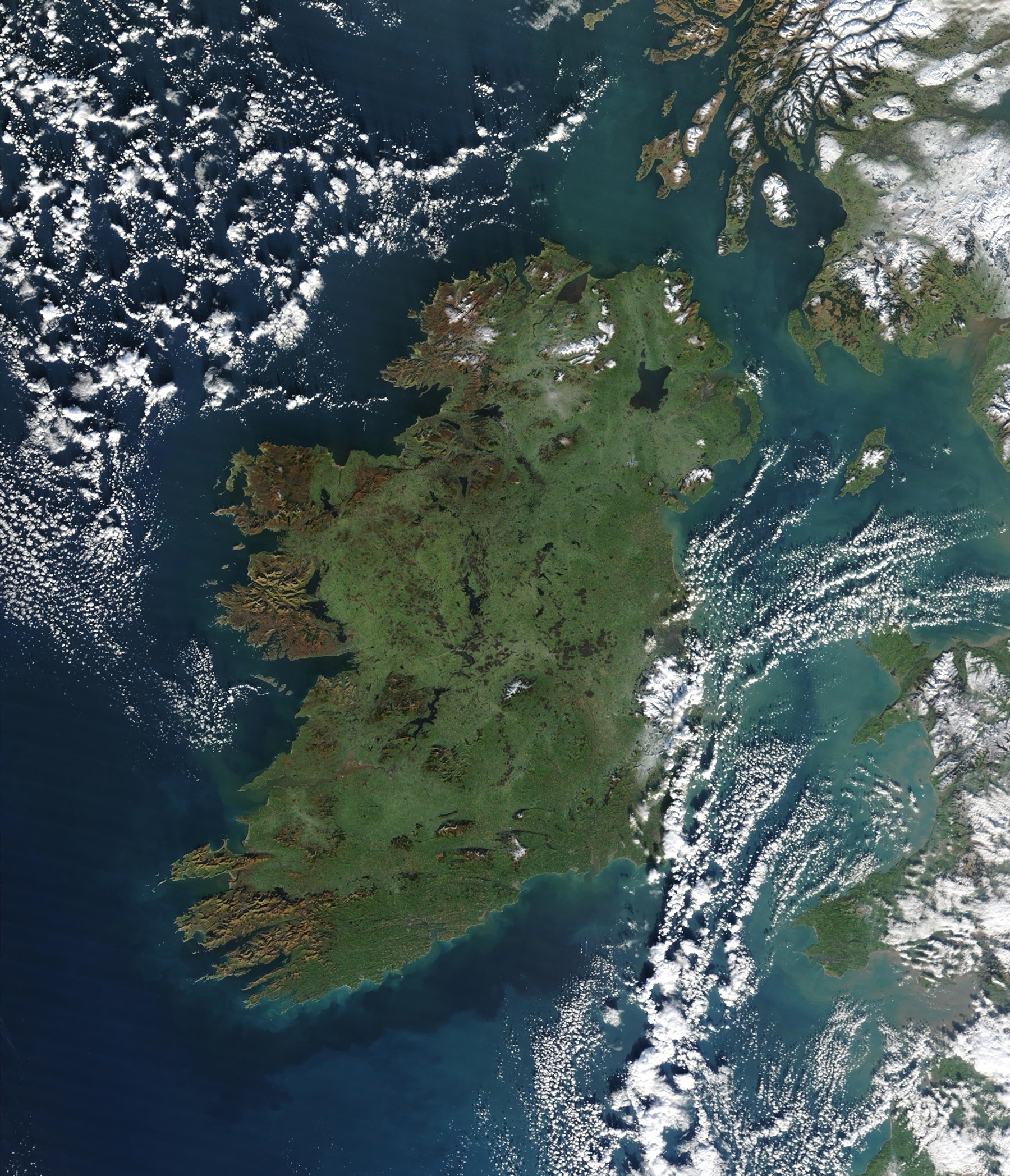 Hibernia Wikipedia