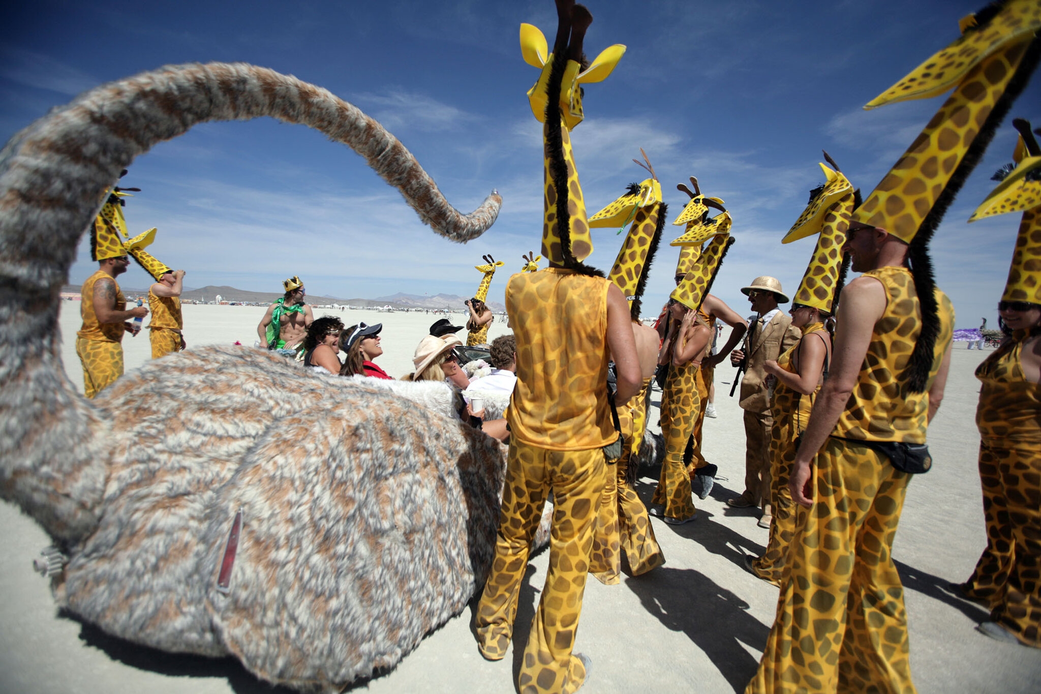 crossword clue humdinger