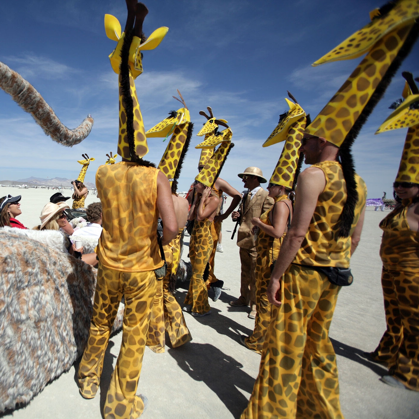 Humdingers The New York Times