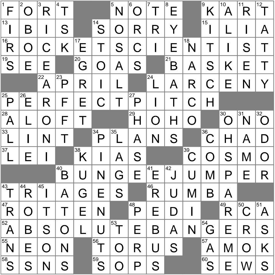 pelvic bones crossword
