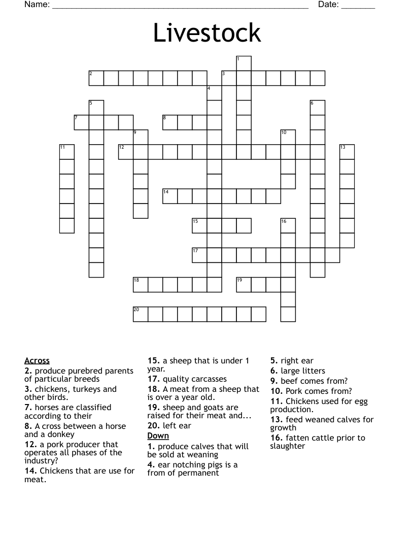 feed for livestock crossword clue
