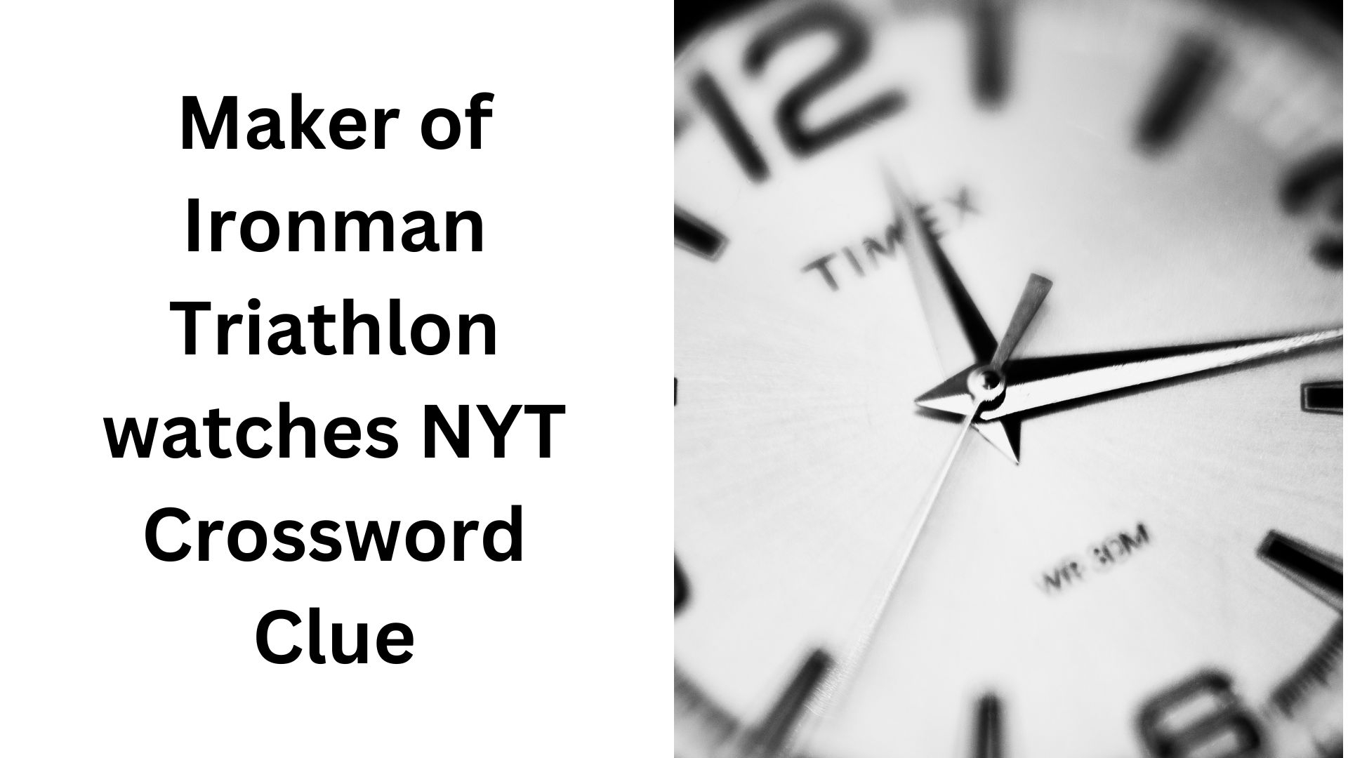 francophiles farewell crossword clue