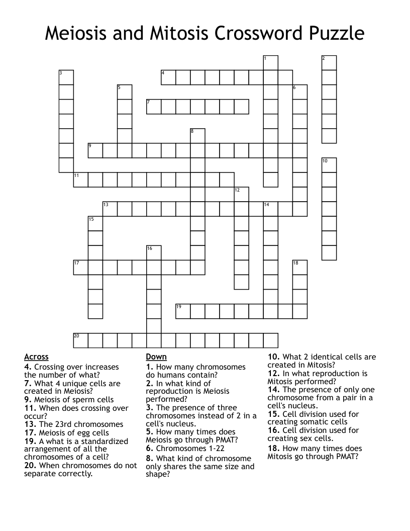 Meiosis And Mitosis Crossword Puzzle WordMint