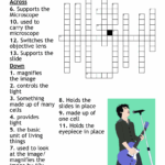 Pop Crossword WordMint