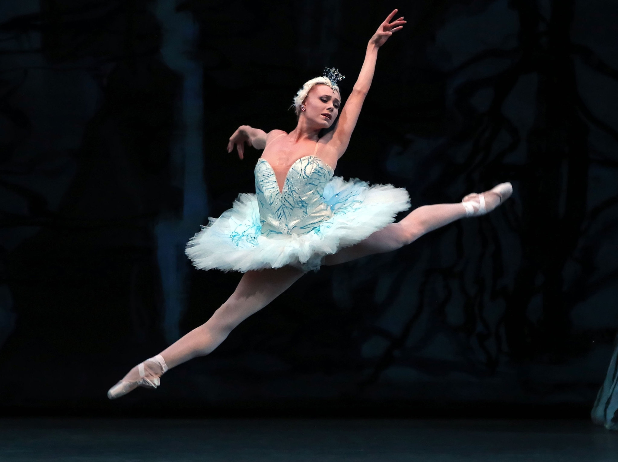 swan lake role crossword