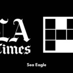 Sea Eagle Crossword Clue Answer Power Up Gaming