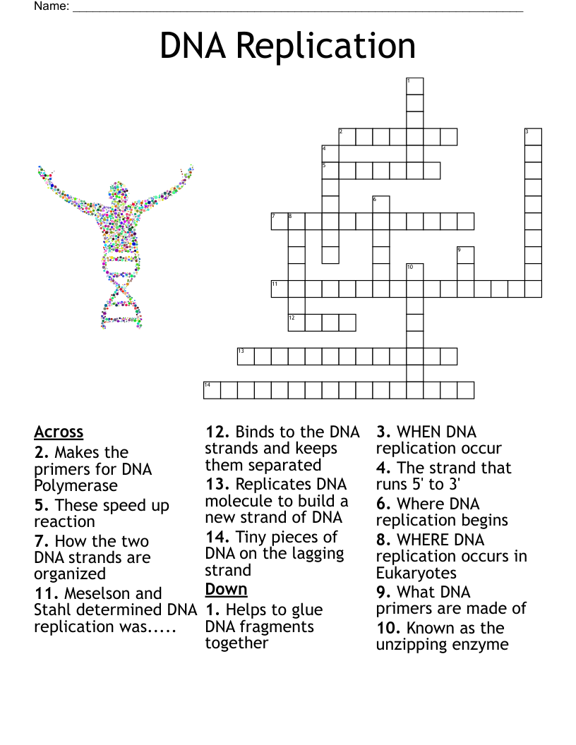 skin care brand crossword