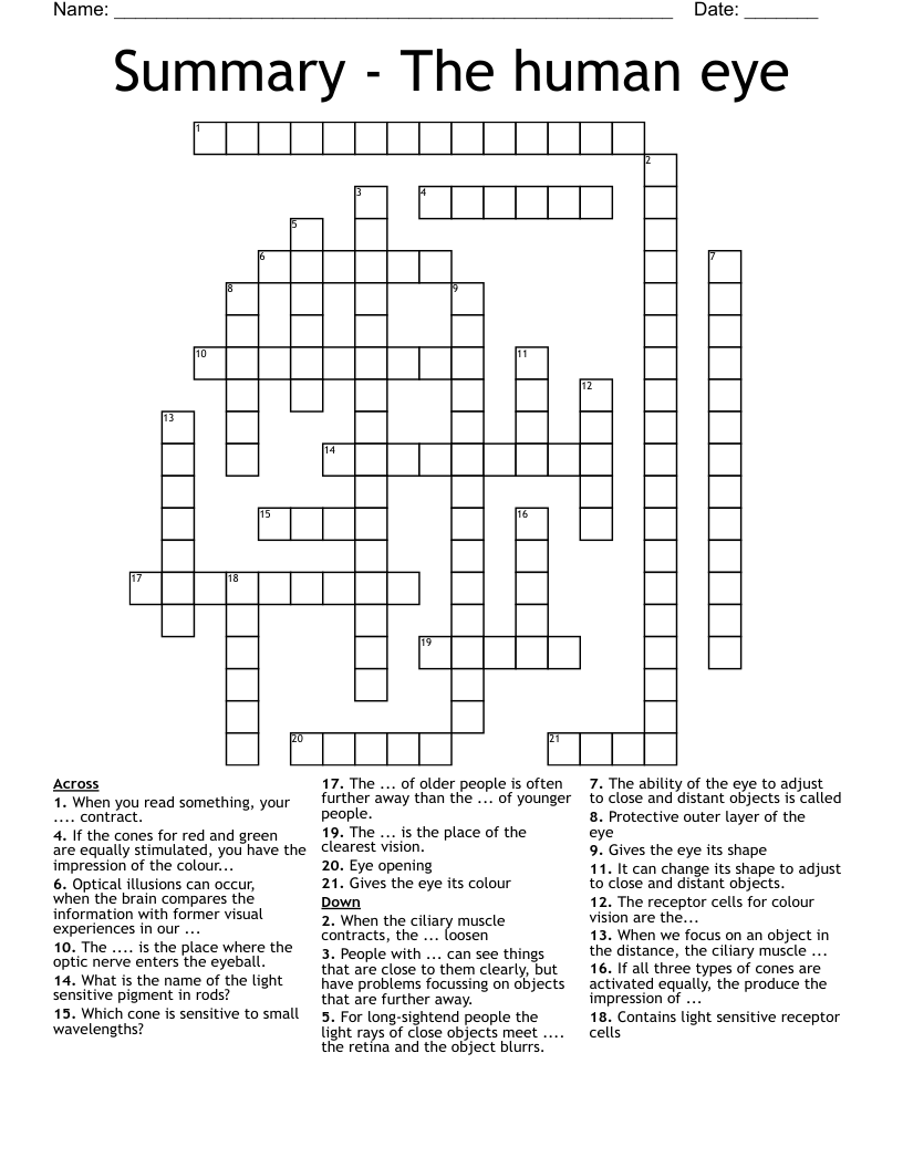 Summary The Human Eye Crossword WordMint