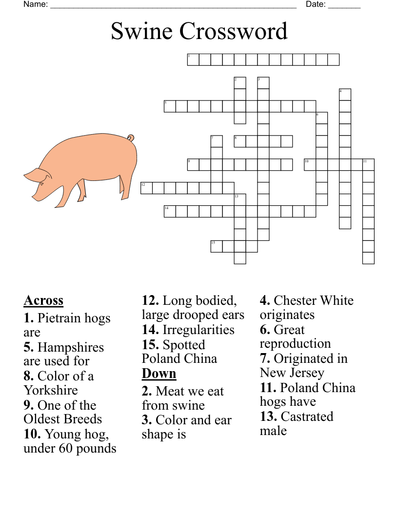 spotted crossword clue