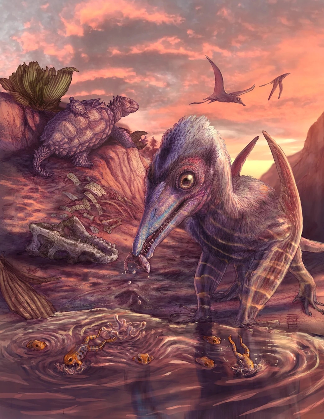 This ash winged Dawn Goddess Is North America s Newest Pterosaur