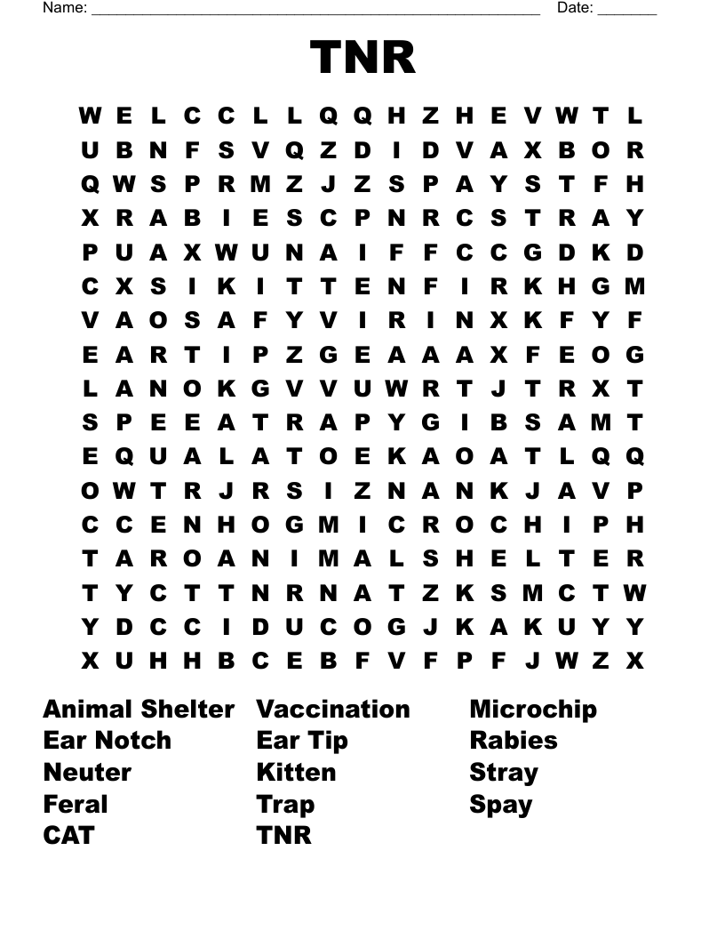 TNR Word Search WordMint