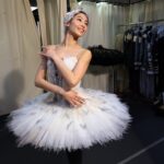 What Does It Take To Be The Lead In Swan Lake The Boston Globe