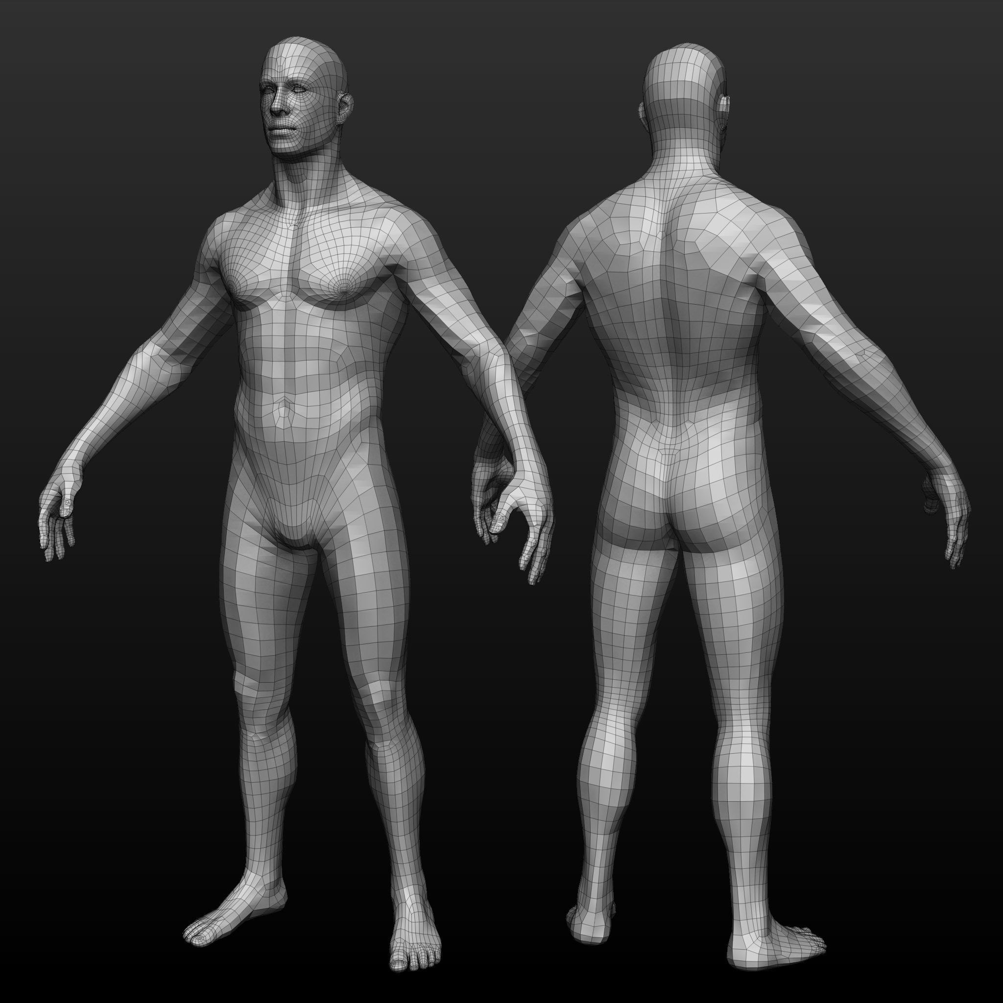 3D Model Base Mesh Male Body VR AR Low poly CGTrader