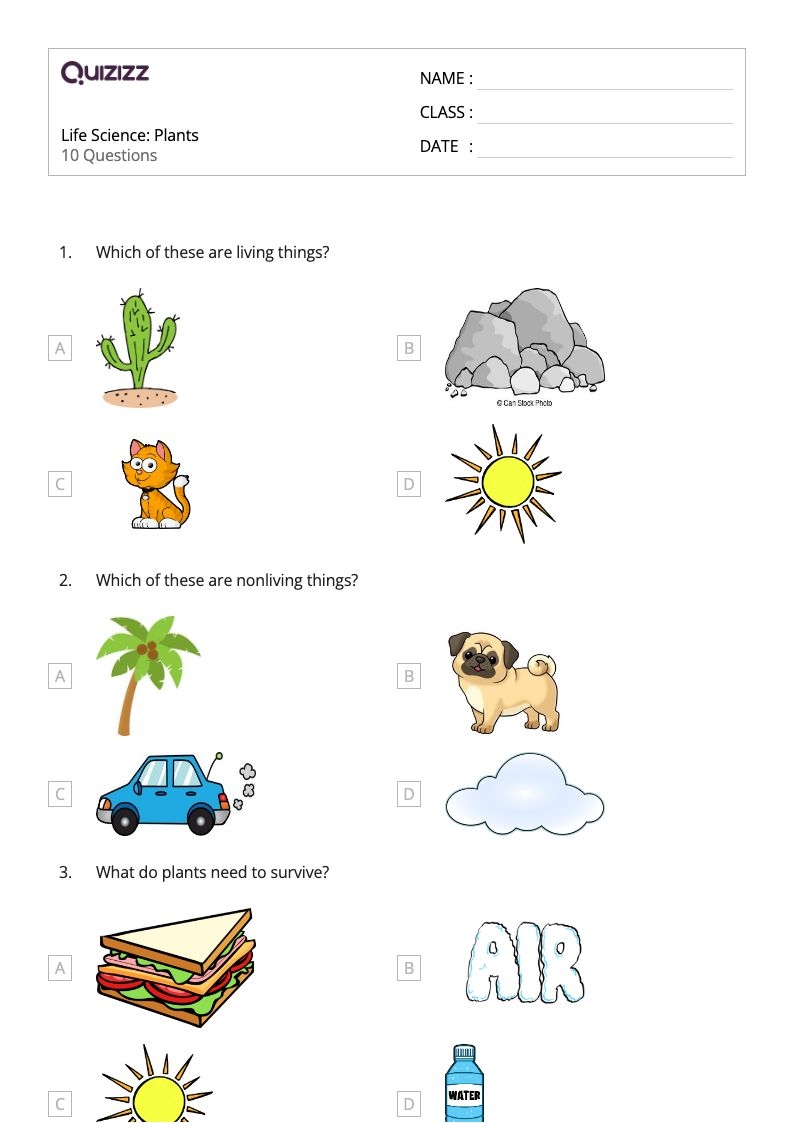 1st grade science worksheets 1st grade science worksheets