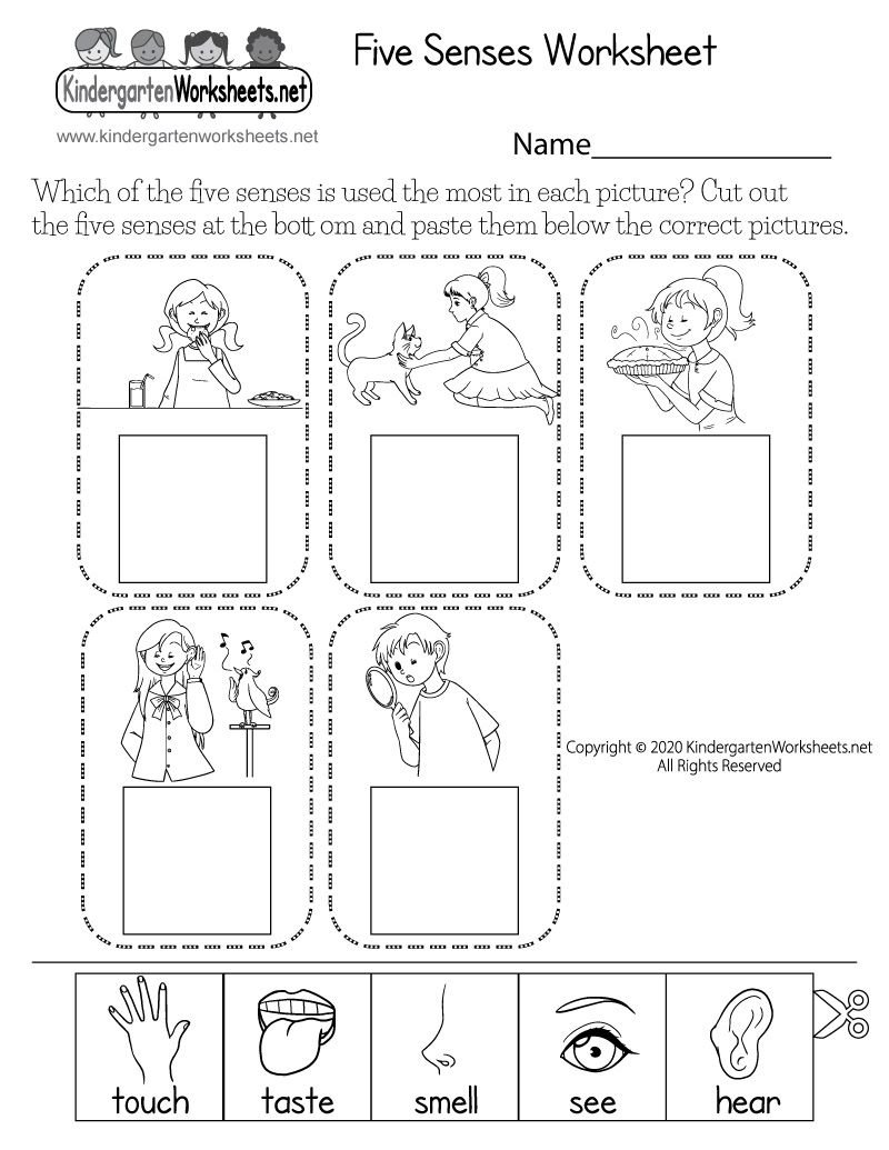 science worksheets for kindergarteners