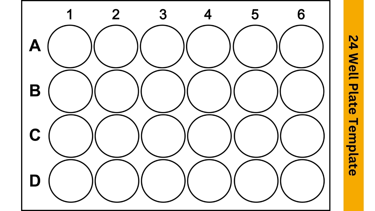 96 well plate template