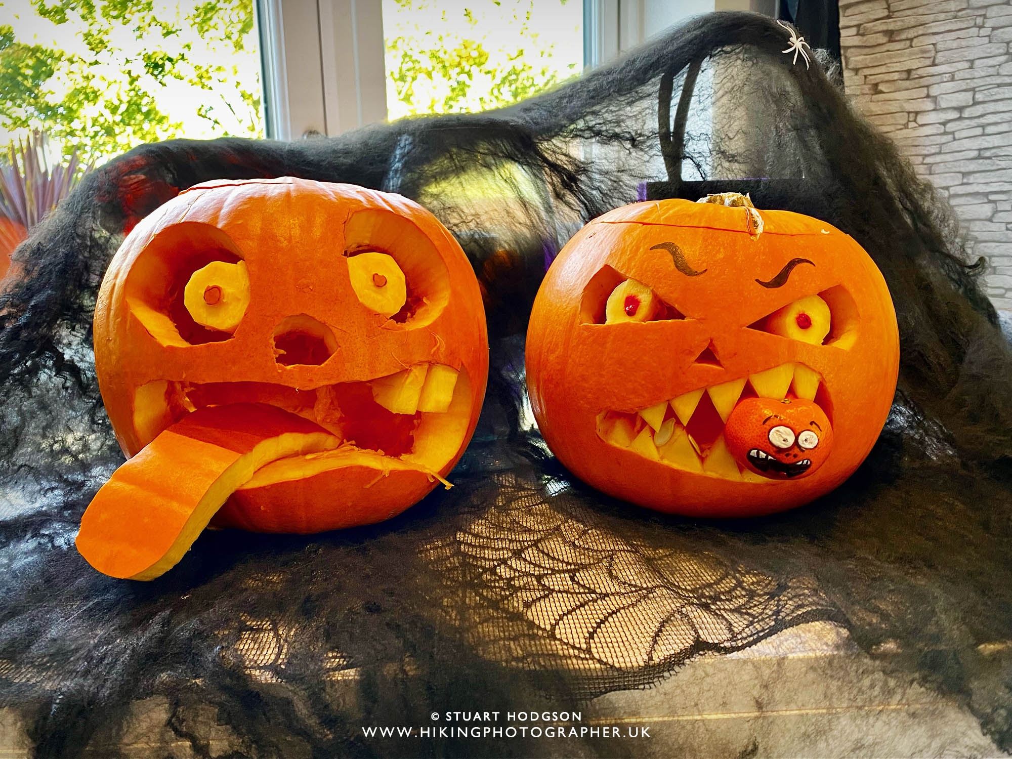 short pumpkin carving templates