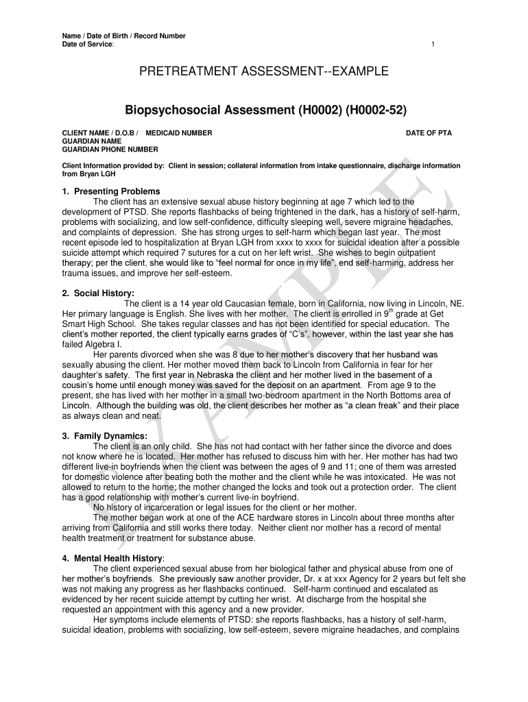 Biopsychosocial Assessment Example Fill Out Sign Online DocHub