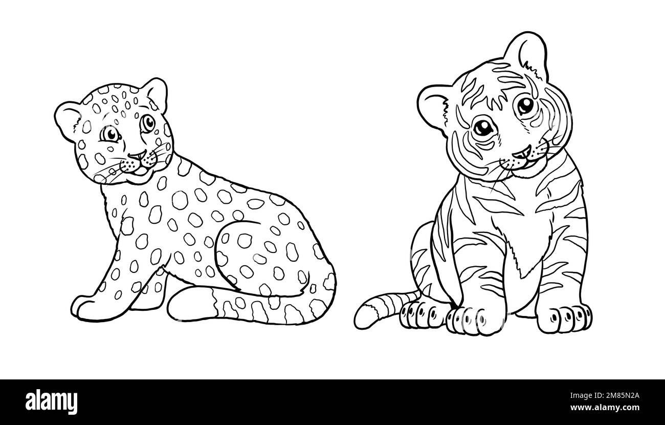 Cute Leopard And Tiger Babies To Color In Template For A Coloring Book With Funny Animals Coloring Template For Kids Stock Photo Alamy