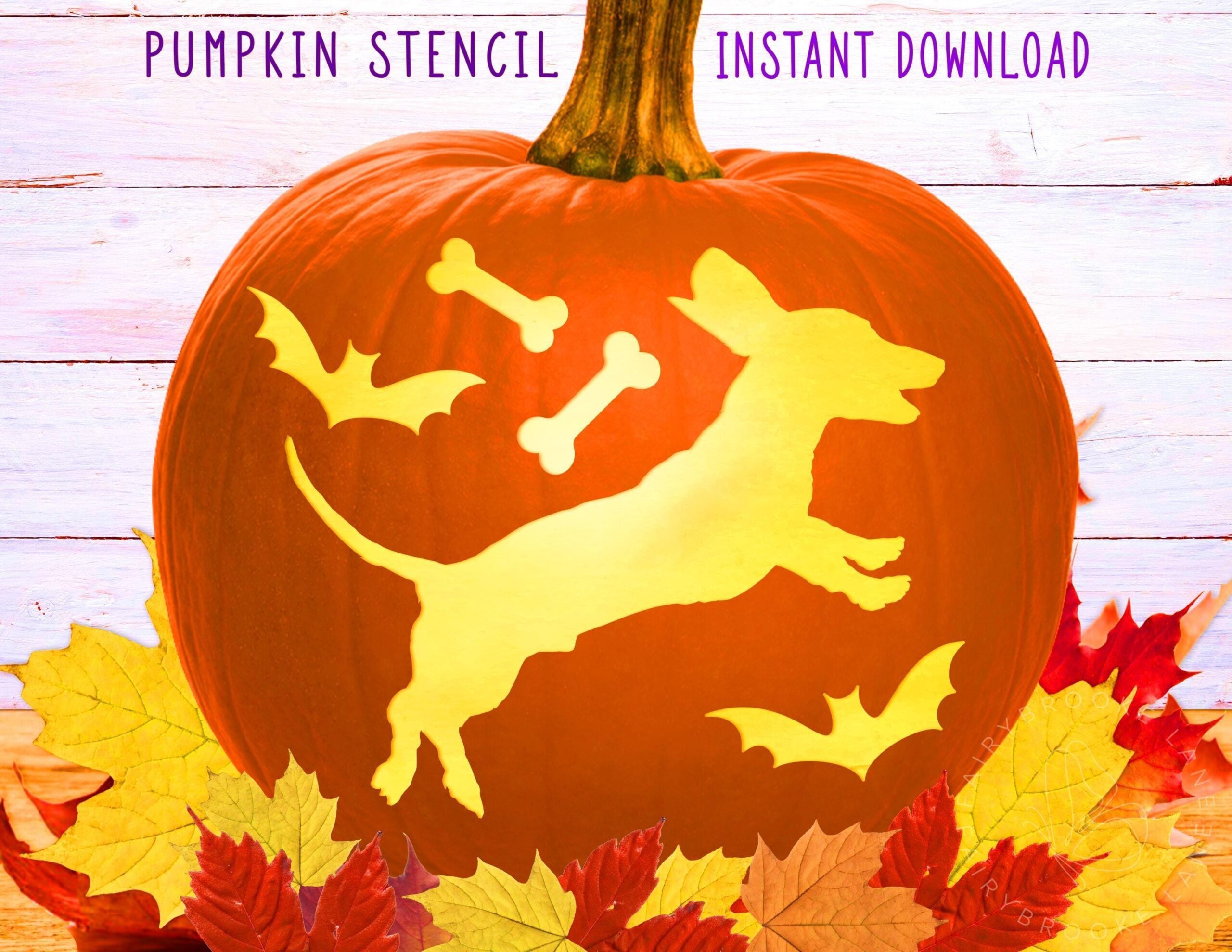 Dog Pumpkin Stencil Cute Dachshund Printable Stencil Jack O Lantern Pumpkin Carving Template Halloween Dachshund And Bones And Bats Etsy Israel