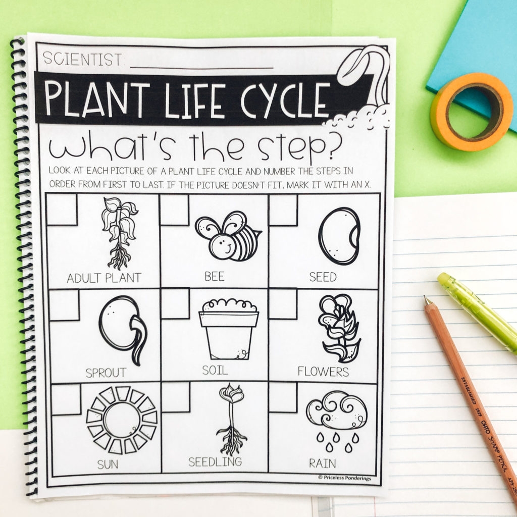 Elementary Science Units Make Teaching Plant Life Cycles Easy Priceless Ponderings Elementary Science Units Make Teaching Plant Life Cycles Easy Priceless Ponderings