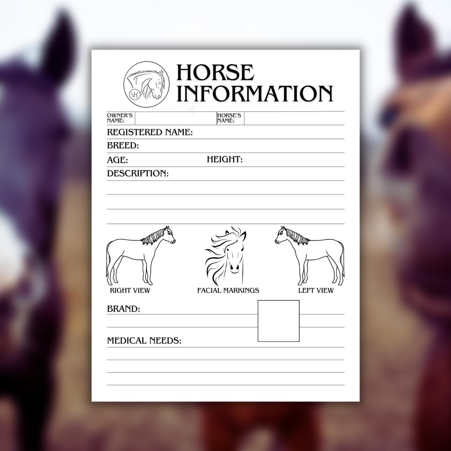 Equine Info Card Digital Download Horse Information Card Horse Medical Record Equine Journal Horse Boarding Etsy Equine Info Card Digital Download Horse Information Card Horse Medical Record Equine Journal Horse Boarding Etsy