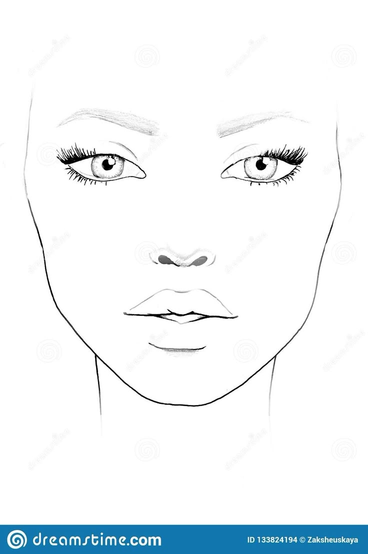 Face Chart Makeup Artist Blank Beautiful Woman Portrait Face Chart Makeup Artist Blank Template Stock Illustration Illustration Of Liner Female 133824194