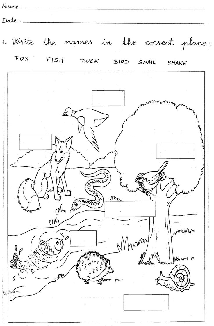 Free And Printable 1st Grade Worksheets Free And Printable 1st Grade Worksheets