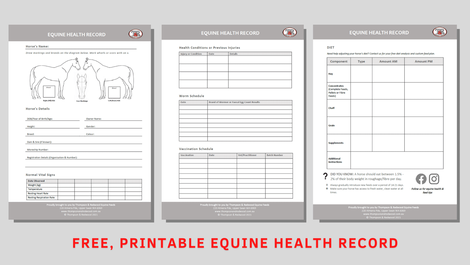FREE PRINTABLE EQUINE HEALTH RECORD Thompson And Redwood FREE PRINTABLE EQUINE HEALTH RECORD Thompson And Redwood