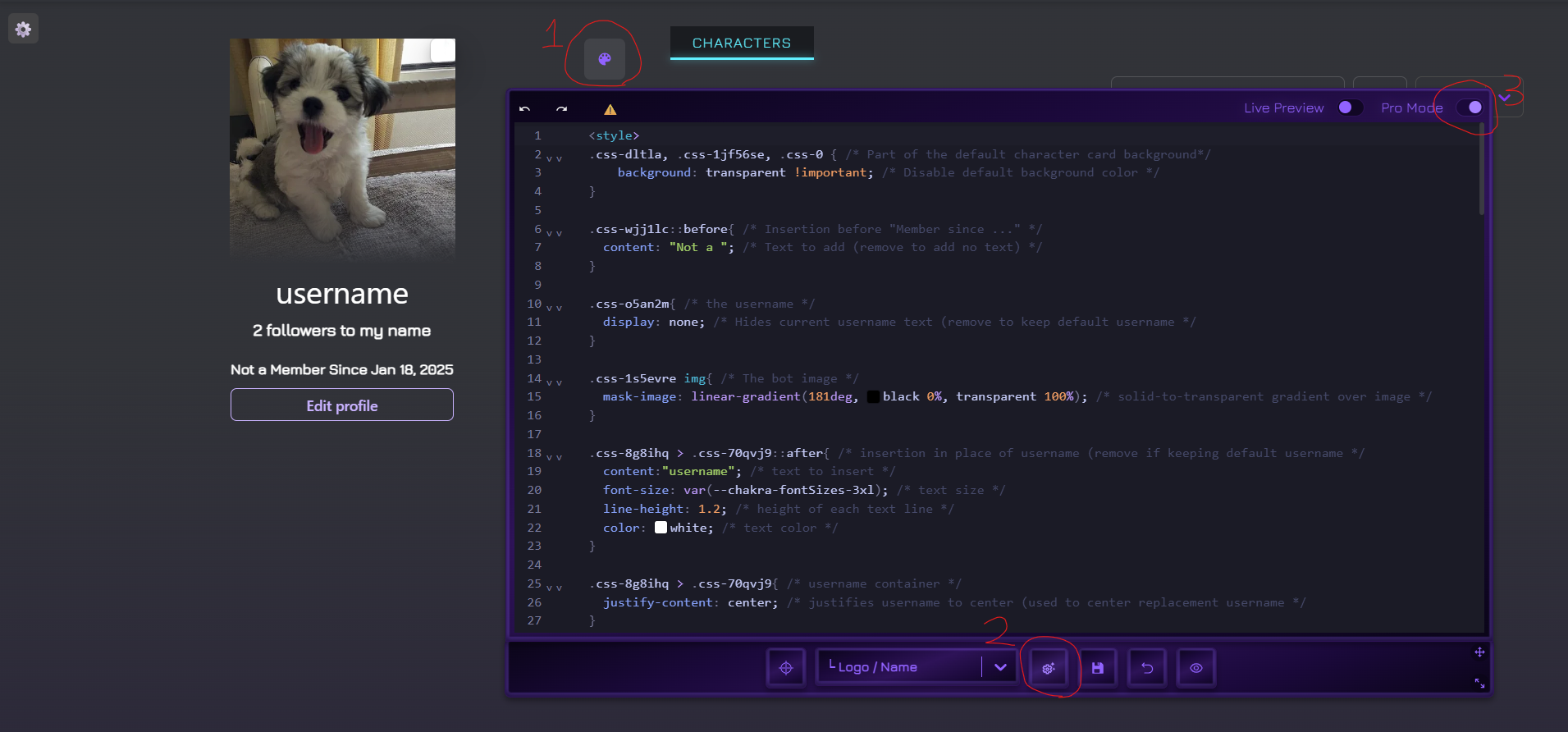 Free Profile CSS Template R JanitorAI Official